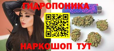 бошки Гатчина