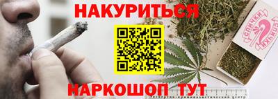 бошки Гатчина