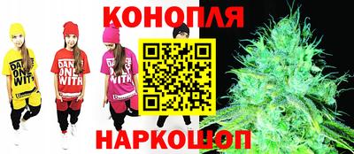 бошки Гатчина