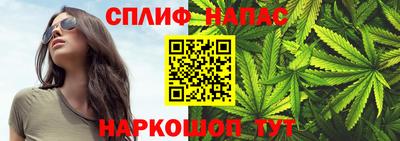 сатива Гагарин