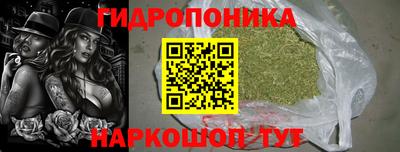 бошки Гатчина