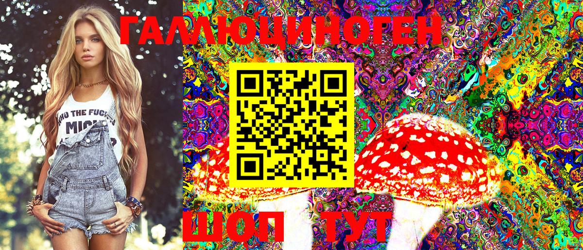 Калач-на-Дону  Псилоцибиновые грибы Psilocybe  Вход с VPN 