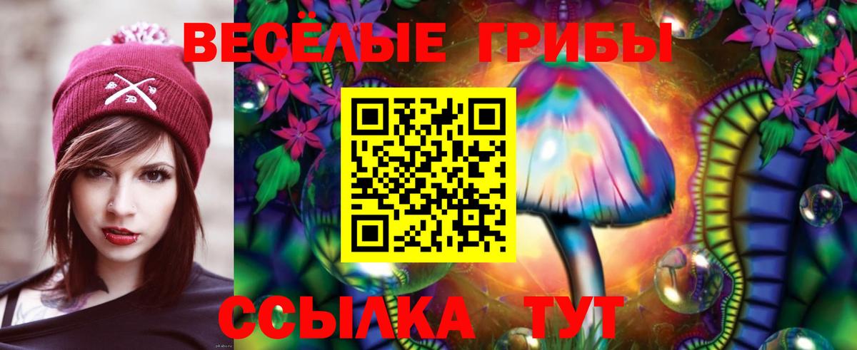 Галлюциногенные грибы прущие грибы Калач-на-Дону